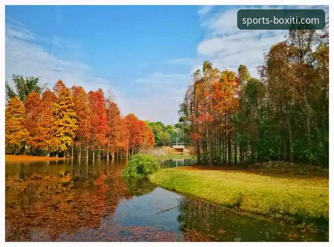 博喜体育官方唯一入口与BOXITI平台安全访问全面解析